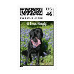 A Texas Howdy! postage