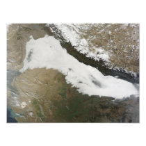 A thick bank of low clouds