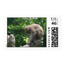 A thinker!!! postage by Yarijik A thinker!!! postage