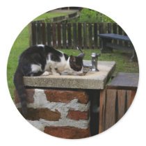 A Thirsty Day in Charleston Round Sticker