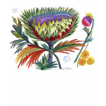 A Thistle 42 t-shirts by Julier A Thistle 42 t-shirts