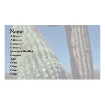 A Thorny Punch Business Card