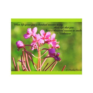 A thousand reasons to smile Canvas wrappedcanvas