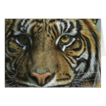 A Tiger Face Cards
