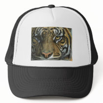 A Tiger Face Mesh Hats