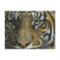 A Tiger Face Post Card