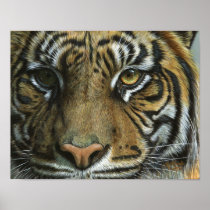 A Tiger Face Print