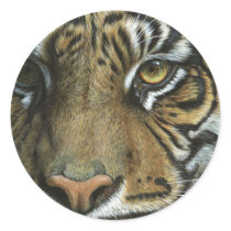 A Tiger Face Sticker