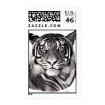 A TIGER'S EYES postage