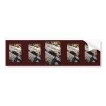 A Tiny  Place bumper stickers