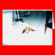 A Tired Basset Hound cards