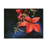 A Touch Of Autumn Post Card