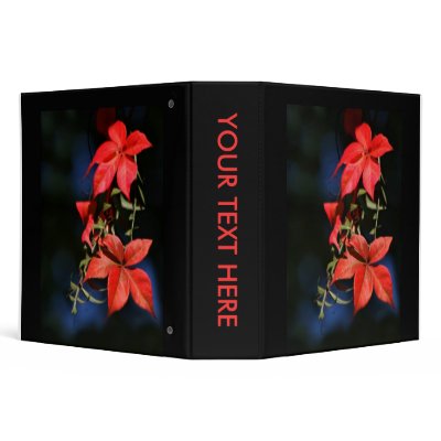 A Touch Of Autumn Vinyl Binder by TheScenicRoute