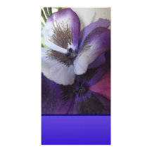 A Touch of Blue on a Photo Card for you!