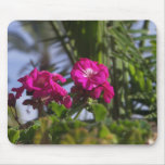 A touch of nature mousepads