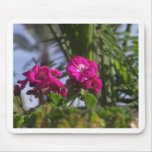 A touch of nature mousepad