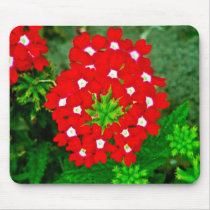 A Touch of Summer Red mousepads