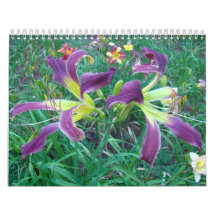 A Touch of the Sun Daylilies Calendars