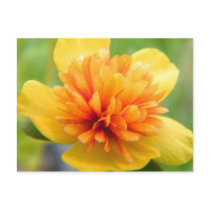 A Touch Of Warmth postcards by Heartworks A Touch Of Warmth postcards