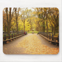 A Trail of Autumn Leaves, Central Park, NYC Mouse Pads