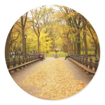 A Trail of Autumn Leaves, Central Park, NYC Sticker
