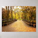 A Trail of Autumn Leaves, Central Park, Small Poster