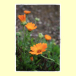 A Trail of Orange Print posters
