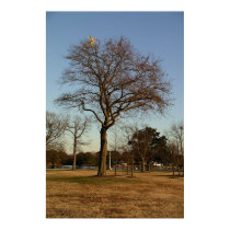 A Tree Ate My Kite posters by C00L_AC A Tree Ate My Kite posters