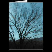 A Tree cards
