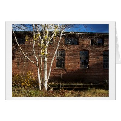 a tree grows greeting card by guajero