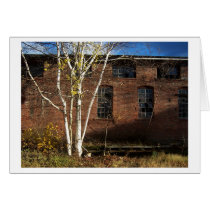 a tree grows cards
