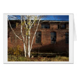 a tree grows greeting card