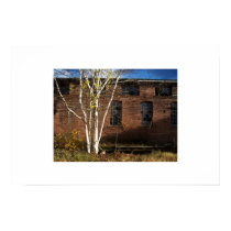 a tree grows posters