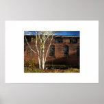 a tree grows print