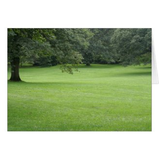 A Tree in a Field of Green Cards