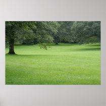 A Tree in a Field of Green Poster