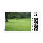 A Tree in a Field of Green Stamp