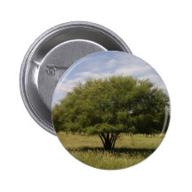A tree in Texas Button