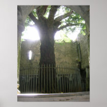 A Tree in the Atrium Print