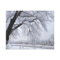 A Tree in the Snow Gallery Wrap Canvas