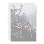 A tree root with rocky valley behind, Czech Republ Announcements