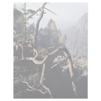 A tree root with rocky valley behind, Czech Republ Customized Letterhead by beautifulclicks