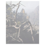 A tree root with rocky valley behind, Czech Republ Customized Letterhead