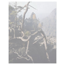 A tree root with rocky valley behind, Czech Republ Customized Letterhead