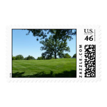 A tree stands alone stamp