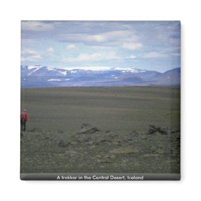 A trekker in the Central Desert, Iceland Fridge Magnet by beautifulclicks