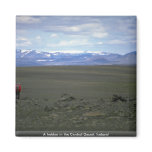 A trekker in the Central Desert, Iceland Fridge Magnet