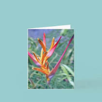 A Tropical Heliconia Note Card