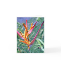 A Tropical Heliconia Note Card