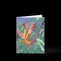 A Tropical Heliconia Note Card